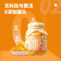 应季物语枇杷水果罐头390g 新鲜即食玻璃瓶 果汁琵琶0无添加 休闲零食方便