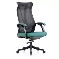 初嘉(CJ) BGY-23人体工学椅电脑椅撑腰办公椅家用老板椅电竞椅靠背转椅座椅