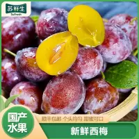 顺丰快递[苏鲜生]新疆西梅 净重3斤 正宗法兰西甜西梅 当季时令水果整箱