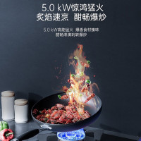 松下(Panasonic)嵌入式燃气灶具5.0KW大火力钢化玻璃180分钟定时熄火一级能效 GE-C27AGK