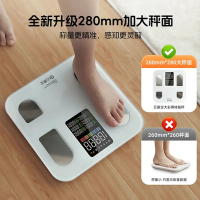 云康宝智能体脂秤CS20E彩屏 白色