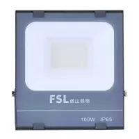 向隆 工业用照明灯LED投光射灯双LED射灯100w 正白光