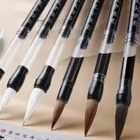 书法毛笔吸水笔杆装水软笔吸墨三年级自来水大白云兼毫狼毫笔抽墨-吸水笔扞;小号1支