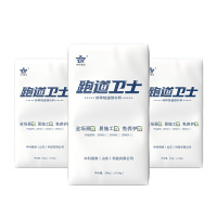 袋装水泥 中科易维跑道卫士 ZR600 硫铝酸盐水泥 25 1 62.5R