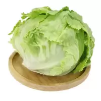 西生菜kg