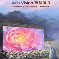 华为(HUAWEI)Vision3