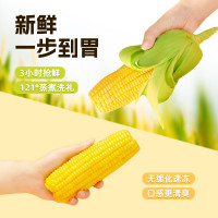 失重密码 水果玉米棒220g*8棒/箱