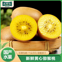 [苏鲜生]四川新鲜黄心猕猴桃 6枚 中果 单果70-90g 黄心猕猴桃 新鲜水果 奇异果