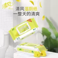 清风湿厕纸湿纸巾卫生杀菌湿巾40片*3包厕纸可冲入马桶温和