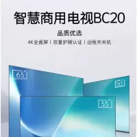 创维43BC20平板电视单位:台