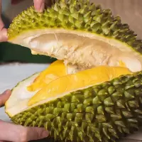 猫王榴莲 个