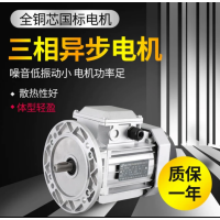 3M 三相异步电动机\ys6324-180W\11轴(立式)