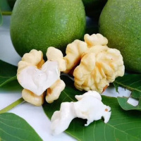 核桃仁一批(24元/kg*0.5kg)