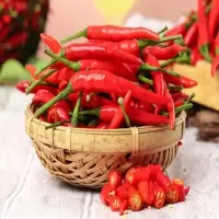 小米椒一批(12.9元/kg*0.5kg)