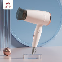 YANGZI扬子1720电吹风