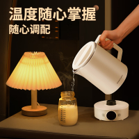 荣事达(Royalstar)电热水壶 便携烧水壶316不锈钢电水壶 RS-KT08A