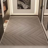 地垫入户门脚垫新款家用防滑门垫进门口耐脏垫子室外门厅玄关地毯
