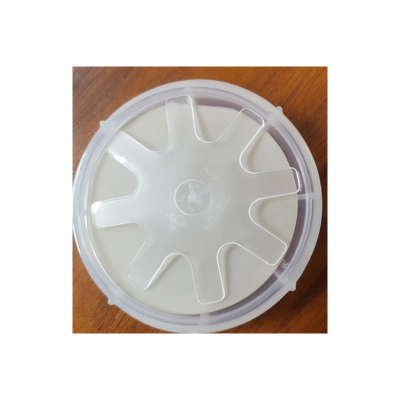 中鸿微 2英寸GaN基DFB激光器外延片 SN-GN-4-1