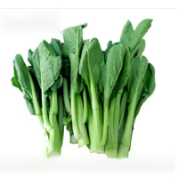 菜心一批(4.2元/kg*5.5kg)