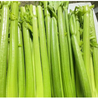 西洋芹一批(8.4元/kg*2.5kg)