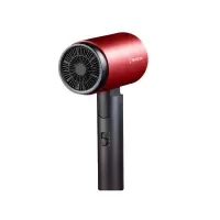 西屋 (Westinghouse) 电吹风 H204-