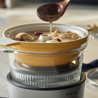 东菱(DonLim) DL-9009 电炖锅 2L (个)