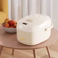 膳魔師(THERMOS)电饭锅(电饭煲)香槟金600W EHA-4130A-CG