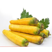 黄萝卜一批(2.1元/kg*2.5kg)