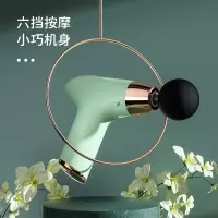 荣事达荣事达RSD-TY826DJ 筋膜枪(浅绿)