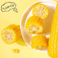 玉米(c)根