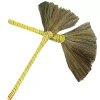 凤尾笤帚JM9550