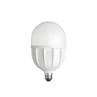 欧普(OPPLE) 心悦Ⅱ代-T115-40W-E27-6500K LED球泡 (计价单位:个) 白色