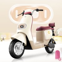 新日 小丽韵 新国标电动二轮车 48V24Ah 磷酸铁锂 电动自行车