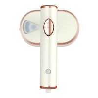 春花持蒸汽电熨斗CTQ-509Y 米色