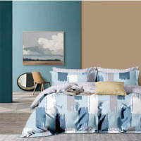 啄木鸟 慢生活四件套甄选优质柔软亲肤四件套200*232cm 天马行空