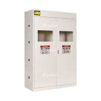 洛诗莲 LSL4041367气瓶柜全钢气体防爆柜气罐储存柜 白色三瓶不报警