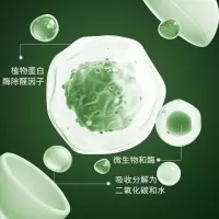 绿之源无香空间家用净化除味剂无香型车载净