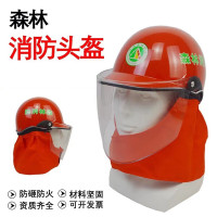 泰拉德山林防火演习救援训练安全帽阻燃防护头盔隔热 大面罩森林消防头盔
