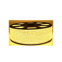 灯带 200v/3000k 100米装 透镜 暖光 送10个插头 单位:条