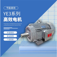 皖南电机 YE3系列三相异步电动机