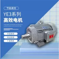 皖南电机 YE3系列三相异步电动机