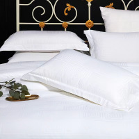 白色40s软枕芯45*75