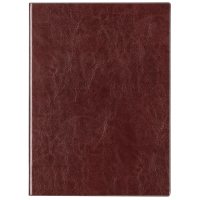 得力(deli)3306商务办公记事本笔记本A4-210*292mm/160张(棕色)单本装