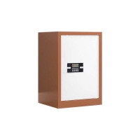 东升顺保密柜财务档案柜文件柜办公室资料储物柜保险柜电子密码国保锁单门咖白-电子密码锁