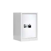 东升顺保密柜财务档案柜文件柜办公室资料储物柜保险柜电子密码国保锁单门白色-国保指纹锁