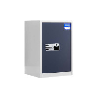 东升顺保密柜财务档案柜文件柜办公室资料储物柜保险柜电子密码国保锁单门白灰-国保指纹锁