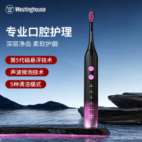 西屋(WESTINGHOUSE)电动牙刷WT-600