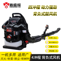 鑫盛耀背负式四冲程大棚吹雪鼓风机森林风力灭火机器黑色功率 4.2KW