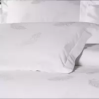 四件套单件1.5米床枕套羽毛花60*90cm飞边5cm