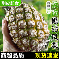 [西沛生鲜]云南黑钻凤梨 净重3斤 1-2个装 当季热带水果 香甜可口 产地直发 西沛